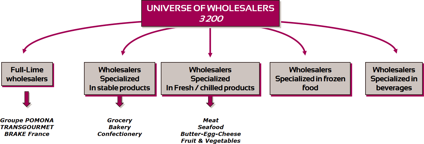 The world of wholesalers The world of wholesalers